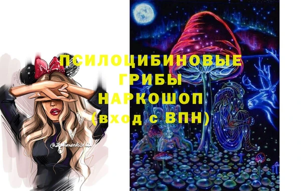 стаф Арсеньев