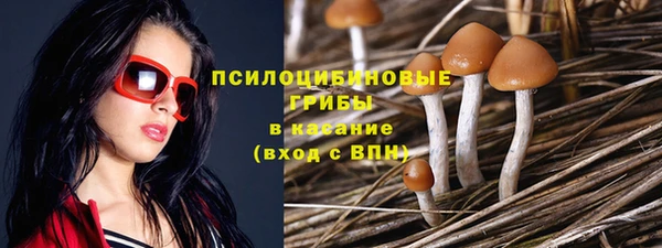 крисы Балабаново