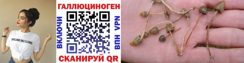 кракен сайт  Свирск  Галлюциногенные грибы GOLDEN TEACHER  хочу наркоту 